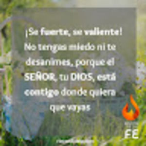 Meet your Posher, Ponce